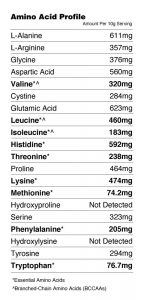 cricket powder amino acid profile