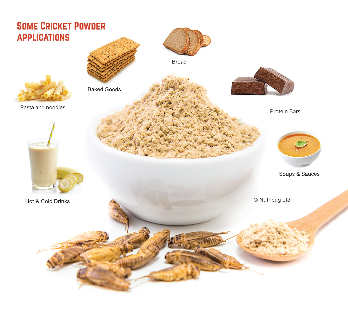 cricket powder applications