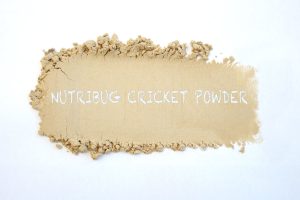 nutribug cricket powder